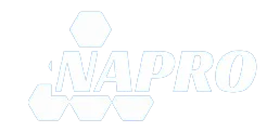 PT. Nusantara Automasi Packaging Robot (NAPRO)
